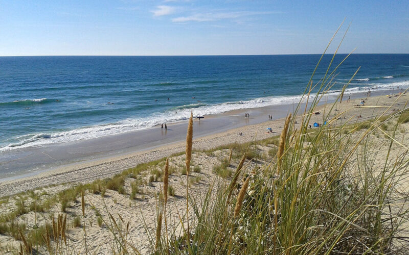 Plages près de Bordeaux : plage de carcans