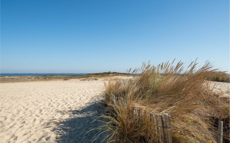 Plages près de Bordeaux : plage de la hume