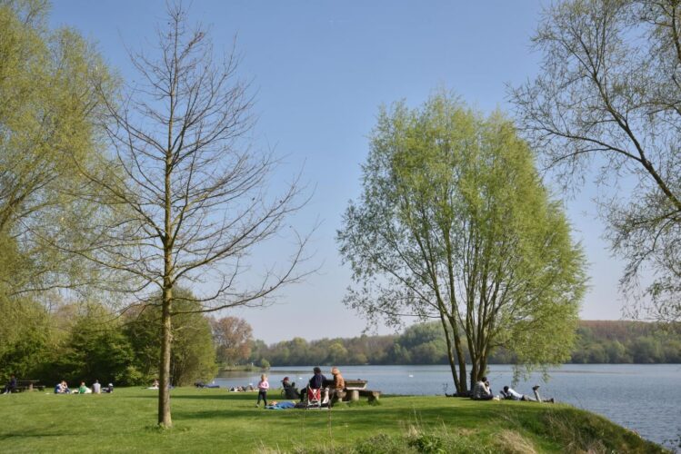Balade à vélo Lille : parc du Héron