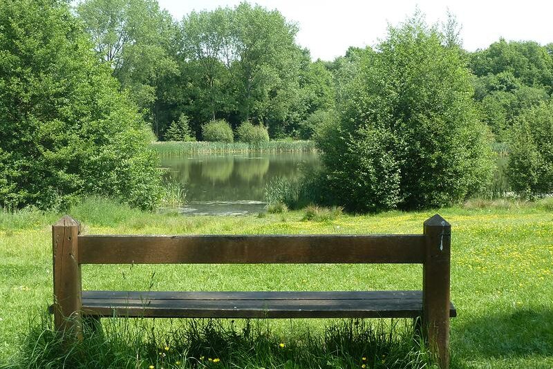Balade à vélo Lille : forêt de Phalempin